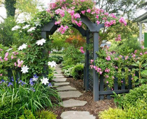 786 All In One Service - Landscape Contractors & Designers in Surrey, British Columbia